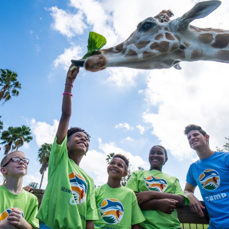 2020 Safari Photo 1080x1080 1 scaled 1 768x768