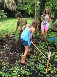 Farm Camp Working in the Herb Garden 224x300 1 1