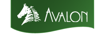 avalonlogo1