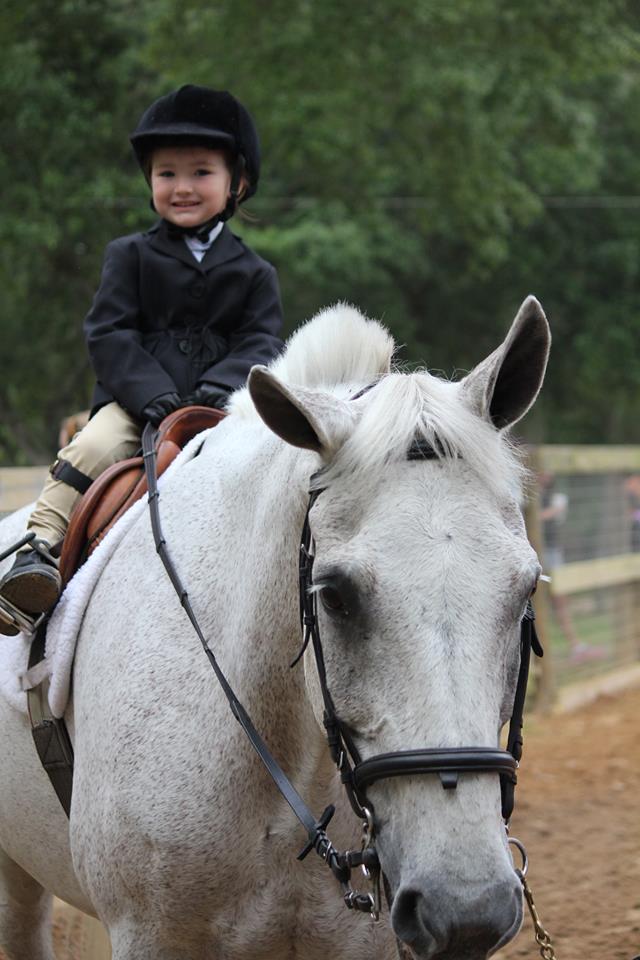 bristol rose equestrian 2