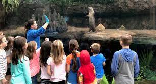 florida aquarium 2022 summer camps