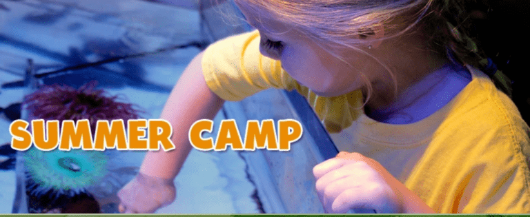 Screenshot 133 768x315