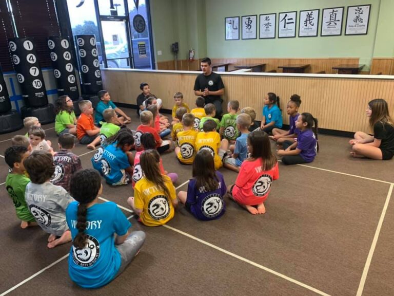 Victory Martial Arts Camps 768x576