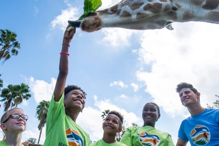 busch gardens summer camps